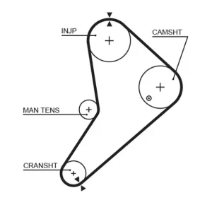 Taniej Pasek rozrządu GATES 5021